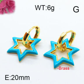 Fashion Brass Earrings F6E303052ahjb-J40