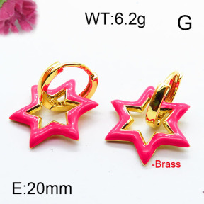 Fashion Brass Earrings F6E303055ahjb-J40