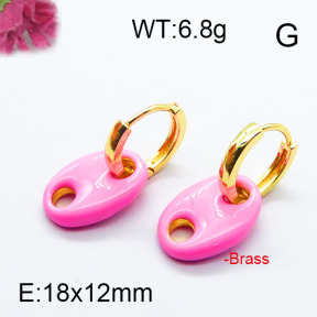 Fashion Brass Earrings F6E303057ahjb-J40