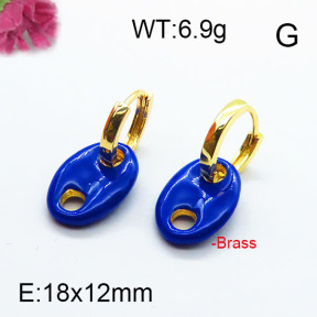 Fashion Brass Earrings F6E303058ahjb-J40