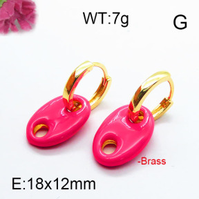 Fashion Brass Earrings F6E303061ahjb-J40