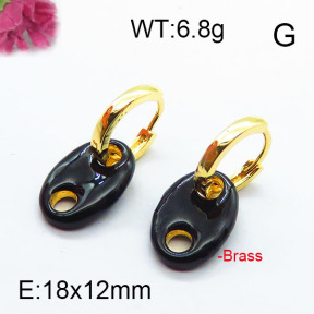 Fashion Brass Earrings F6E303063ahjb-J40