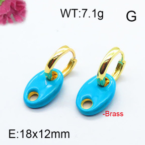 Fashion Brass Earrings F6E303064ahjb-J40