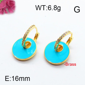 Fashion Brass Earrings F6E303071vhkb-J40