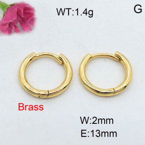 Fashion Brass Earrings  F3E200161vbmb-J40