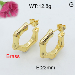 Fashion Brass Earrings  F3E200166bhia-J40