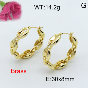 Fashion Brass Earrings  F3E200167ahjb-J40