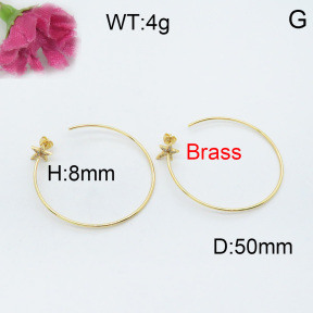 Fashion Brass Earrings  F3E401945bhia-J40