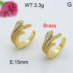 Fashion Brass Earrings  F3E401948vhkb-J40