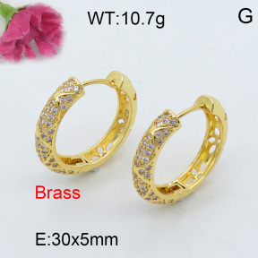 Fashion Brass Earrings  F3E401954vhov-J40