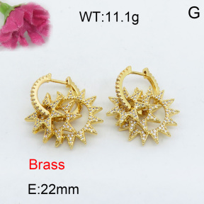 Fashion Brass Earrings  F3E401956aima-J40