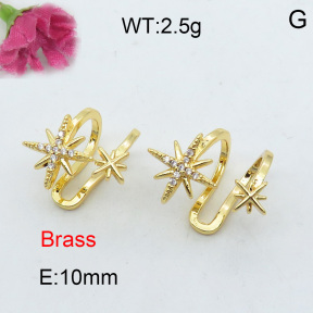 Fashion Brass Earrings  F3E401958ahjb-J40