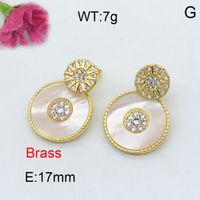 Fashion Brass Earrings  F3E401960ahpv-J40