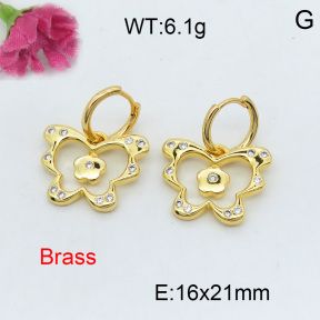 Fashion Brass Earrings  F3E401967vhnv-J40