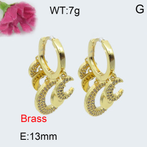 Fashion Brass Earrings  F3E401973biib-J40
