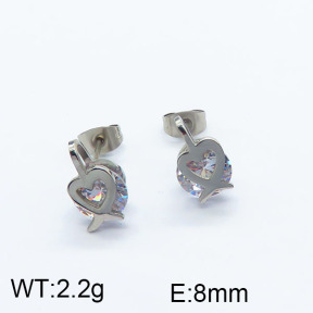 SS Earrings  6E4002973vbnb-722