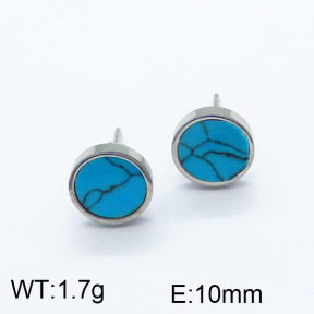SS Earrings  6E4002974vbnb-722
