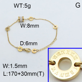 SS Bracelet  3B4002334bhva-362