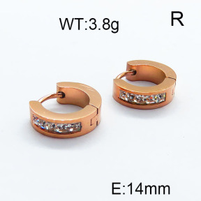 SS Earrings  6E4002991vbnb-628