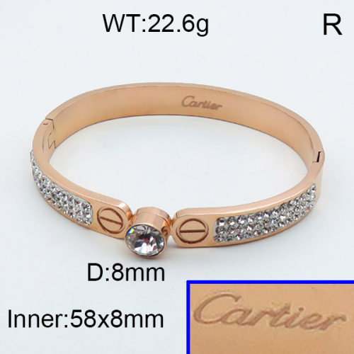 Cartier  Bangles  PZ0134865vhov-434