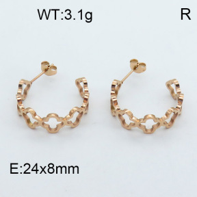 SS Earrings  3E2002571bbov-669