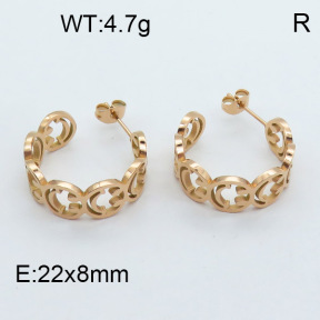 SS Earrings  3E2002573bbov-669