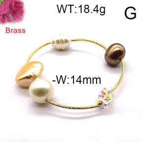 Fashion Brass Bracelet  F6B300276aivb-J123