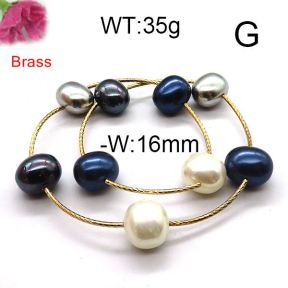 Fashion Brass Bracelet  F6B300348vhov-J123