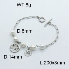 SS Bracelet  3B3002511vbpb-610