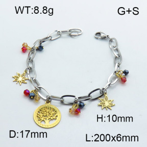 SS Bracelet  3B4002453vbpb-350