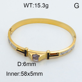 SS Bangles  TZ3001191vhnv-434