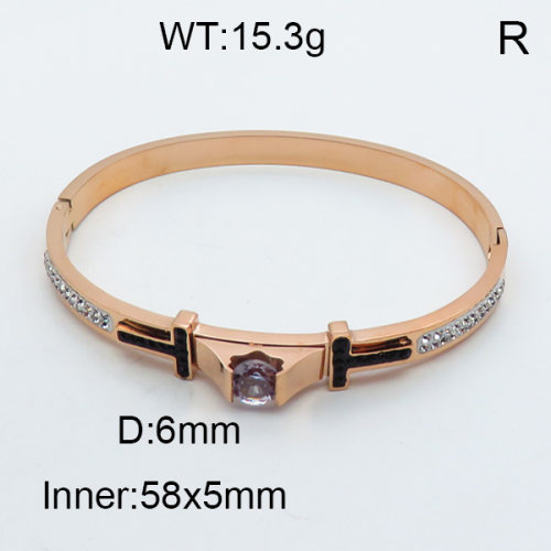 SS Bangles  TZ3001192vhnv-434