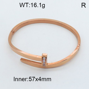 SS Bangles  TZ3001198bipa-706