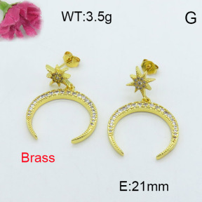 Fashion Brass Earrings  F3E402003vhmv-J40