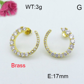 Fashion Brass Earrings  F3E402010vhkb-J40