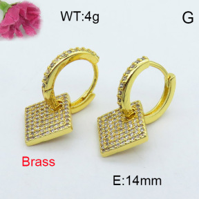 Fashion Brass Earrings  F3E402011vhmv-J40