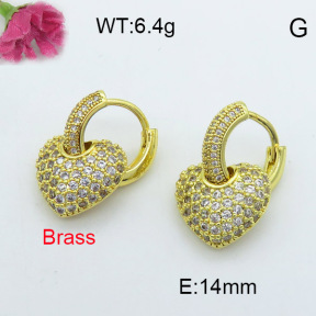 Fashion Brass Earrings  F3E402013vhov-J40