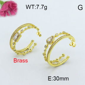 Fashion Brass Earrings  F3E402018vihb-J40