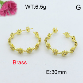 Fashion Brass Earrings  F3E402019vhmv-J40