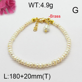 Fashion Brass Bracelet  F6B300480vhov-J123