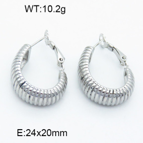 SS Earrings  3E2003741vhha-066