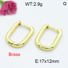 Fashion Brass Earrings  F3E200171aajl-L017