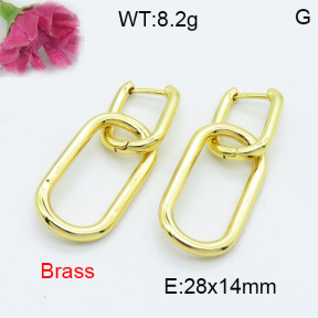 Fashion Brass Earrings  F3E200172abol-L017