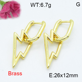 Fashion Brass Earrings  F3E200176abol-L017