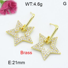 Fashion Brass Earrings  F3E402048vbpb-L017
