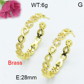 Fashion Brass Earrings  F3E402073bbov-L017