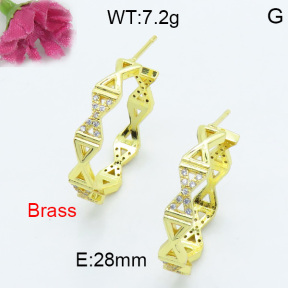Fashion Brass Earrings  F3E402076bbov-L017