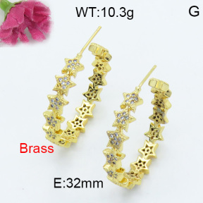 Fashion Brass Earrings  F3E402078bhia-L017