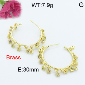 Fashion Brass Earrings  F3E402080ahlv-L017