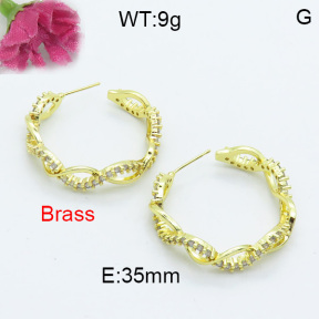 Fashion Brass Earrings  F3E402082vbpb-L017